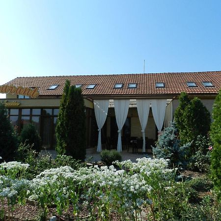 Anette Resort & Spa Covaci Dış mekan fotoğraf